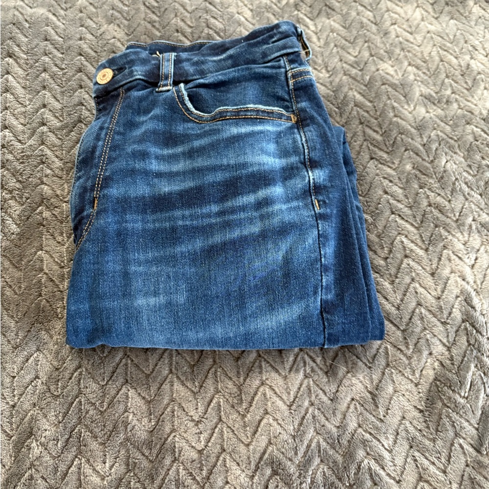 American Eagle Blue Jeggings with Classic Wash